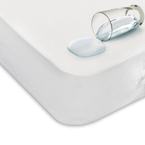 ԲԱԳԼՈՔ ՊԼՅՈՒՍ